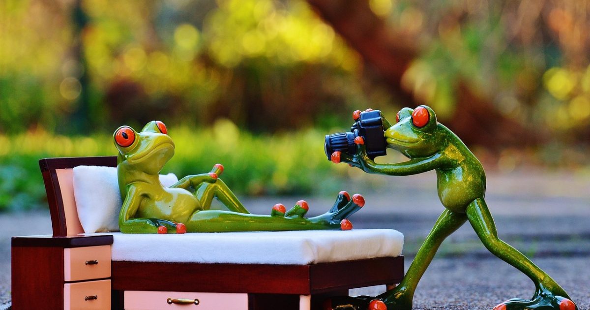 Photographer, frog, photo shoot, fun, camera, animal, taking photos, wildlife, cute, frogs, nature, figure, green