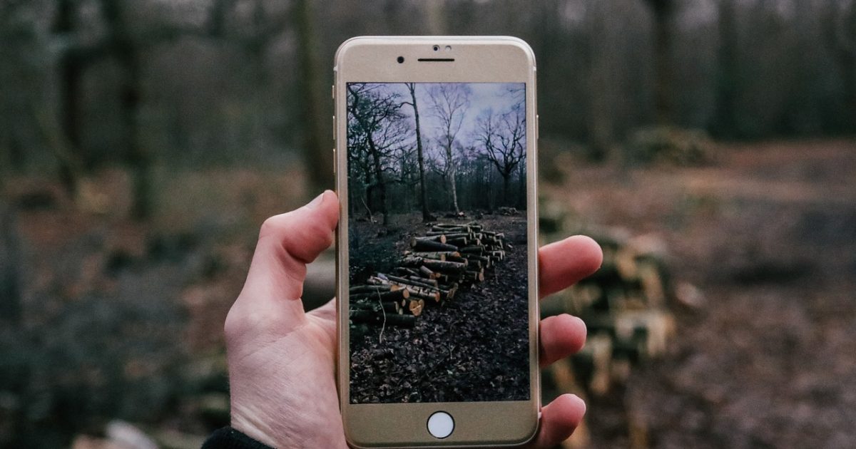 Phone, cellphone, people, photography, iphone, apple, photo, picture, nature, woods, forest, phone, cellphone, cellphone, cellphone, cellphone, cellphone, people