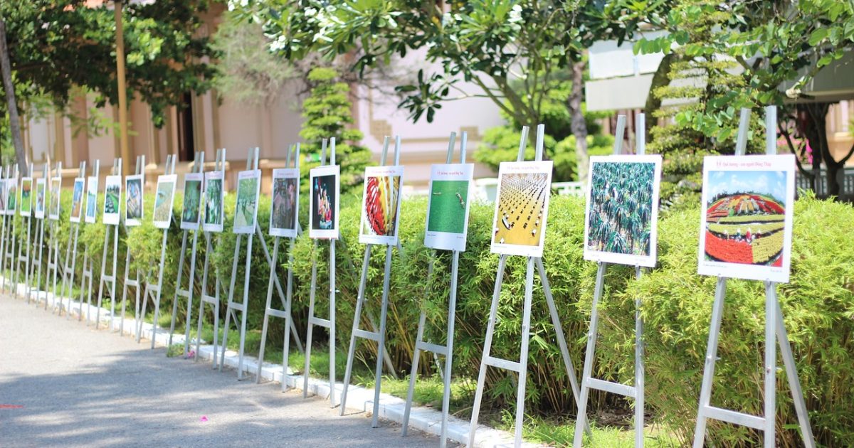 Photo gallery, out side, on the road, there are many trees, vietnam, there are many photo, price photo, photo gallery, photo gallery, photo gallery, photo gallery, photo gallery