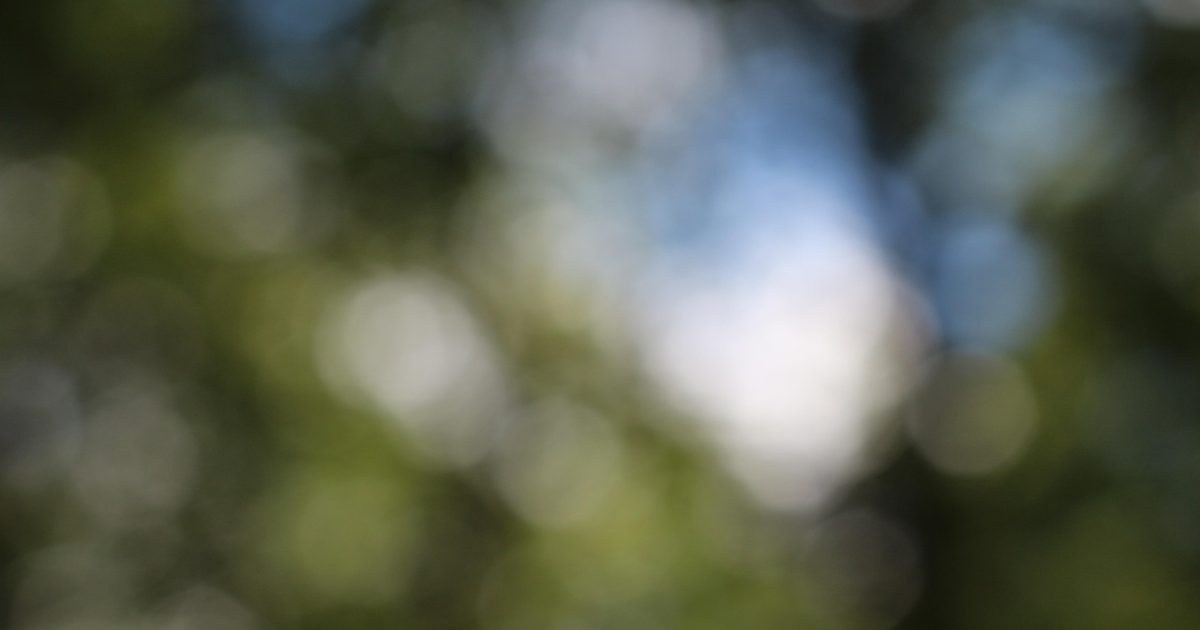 Bokeh, blurred, free background, background image, laptop wallpaper, green, mac wallpaper, 4k wallpaper, wallpaper 4k, spotted, coloured, template, background, multicoloured, abstract, screen background, cool backgrounds, texture, colorful, wallpaper hd, course, 4k wallpaper 1920x1080, beautiful wallpaper, windows wallpaper, gradient, full hd wallpaper, colour, alive, bright, free wallpaper, desktop backgrounds, nature, hd wallpaper, leaf
